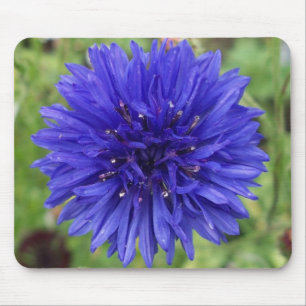 Cornflower Blue Boy Mouse Pad