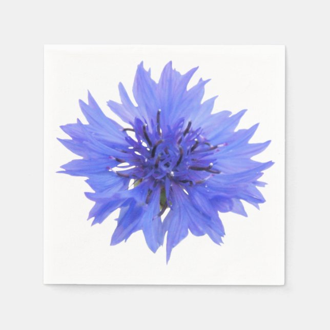 cornflower blue napkin (Front)