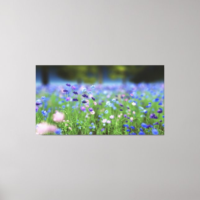 Cornflower Blue Wrapped Canvas (Front)
