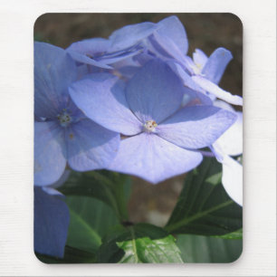 cornflower blues mouse pad