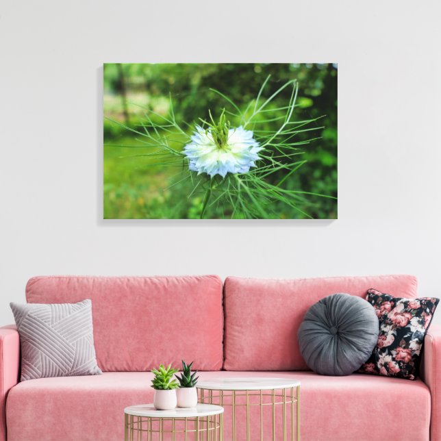 Cornflower Canvas Print (Insitu(LivingRoom))
