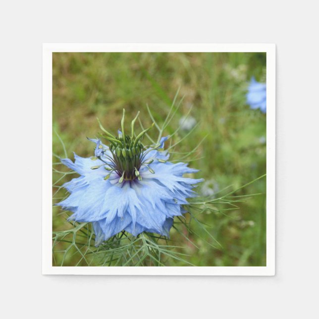 Cornflower Paper Napkins (Front)