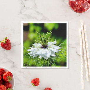 Cornflower Paper Napkins