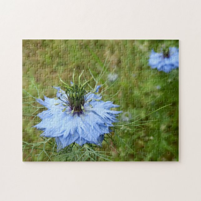 Cornflower Photo Puzzle (Horizontal)