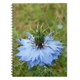 Cornflower Spiral Photo Notebook