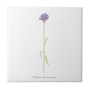Cornflower watercolor  tile