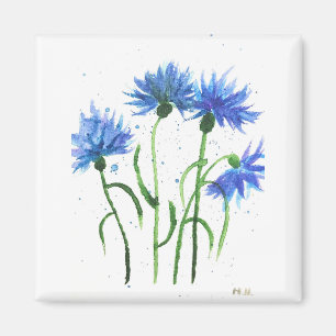 Cornflowers blue flowers watercolor magnet