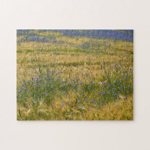 Cornflowers Field Jigsaw Puzzle