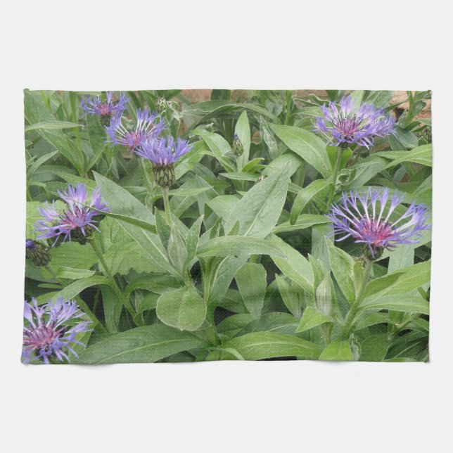 Cornflowers Kitchen Towel (Horizontal)