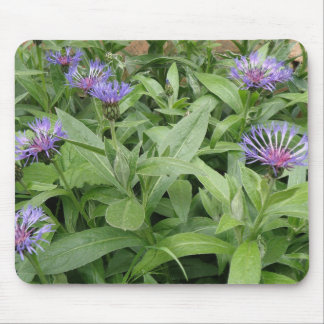 Cornflowers Mousepad