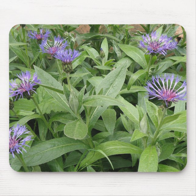 Cornflowers Mousepad (Front)