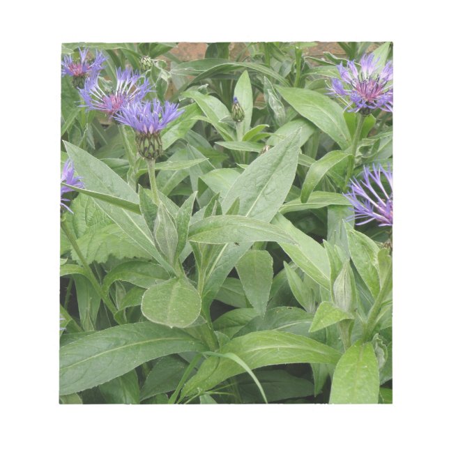 Cornflowers Notepad (Front)