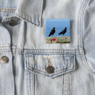 Cornish Choughs (Palores) Pyrrhocorax pyrrhocorax 2 Inch Square Button