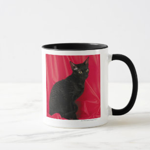 Cornish rex cat mug