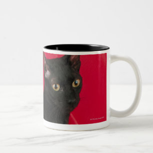 Cornish rex cat Two-Tone coffee mug