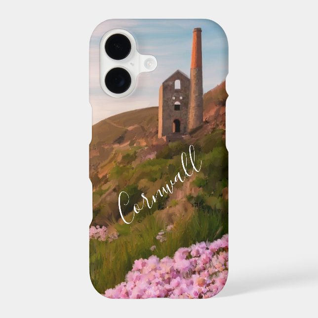 Cornish tin mine (Back)