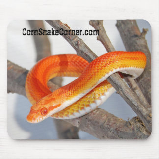 CornSnakeCorner Mousepad