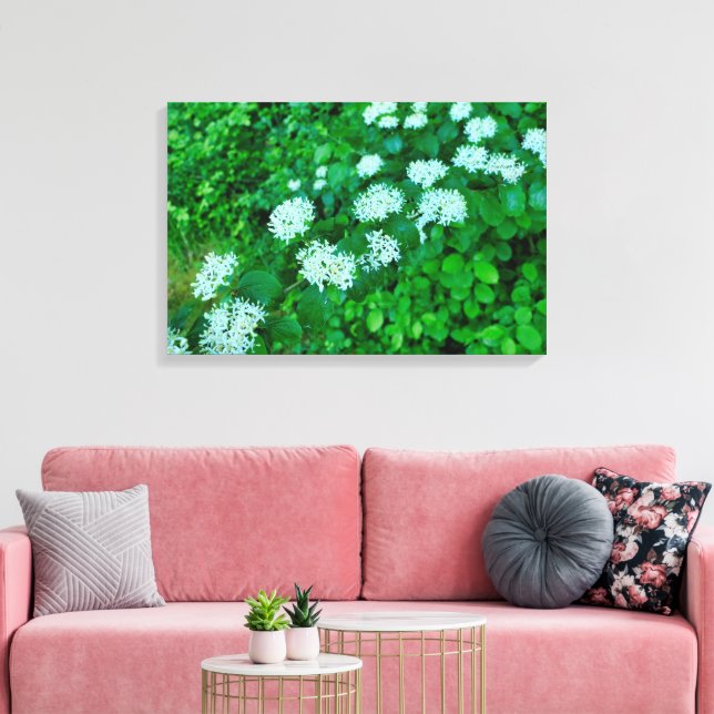 Cornus sanguinea  canvas print (Insitu(LivingRoom))