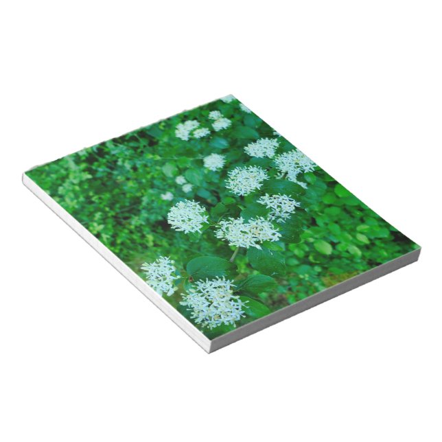 Cornus sanguinea  notepad (Angled)
