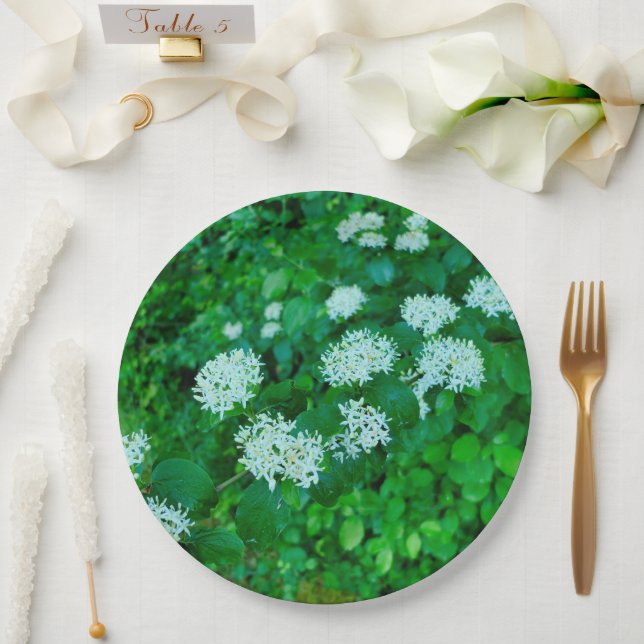 Cornus sanguinea Paper Plate (Wedding)