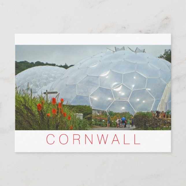 Cornwall Holiday Postcard (Front)