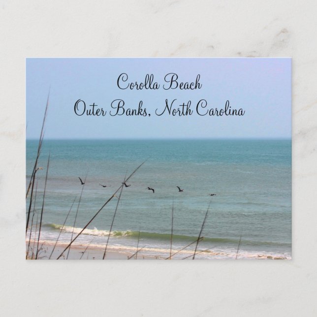 Corolla Beach OBX Postcard (Front)