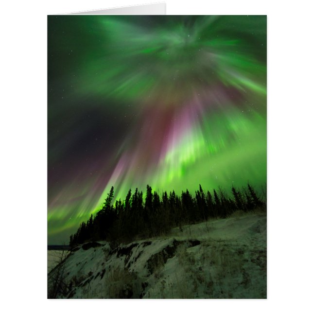 Corona Aurora (Devant)