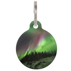 Corona Aurora Pet Tag