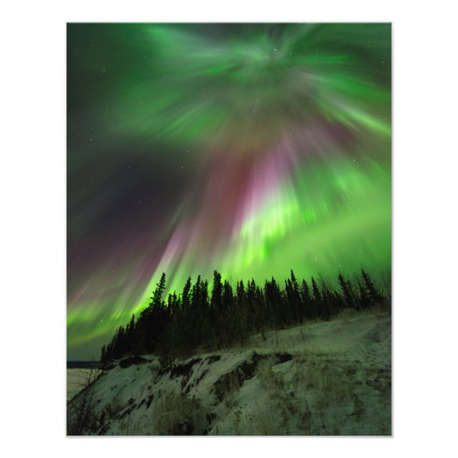 Corona Aurora Photo Print (Front)