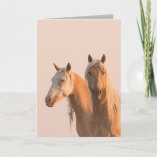 Corona & Cheyenne at Dawn Wild Horse Greeting Card