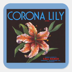 Corona Lily Square Sticker