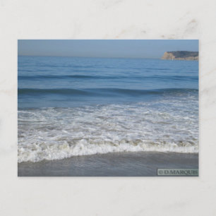 CORONADO,CALIFORNIA POSTCARD