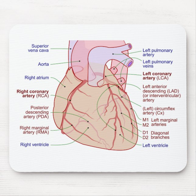 Coronary Arteries Circulation Diagram Human Heart Mouse Pad (Front)