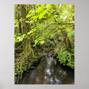 Corral Creek, Oregon Poster
