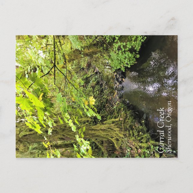 Corral Creek Postcard (Front)