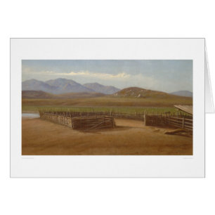 Corral, Rancho Santa Margarita (1162)