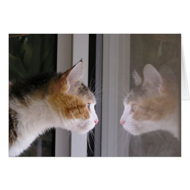 Correctifs (Devant horizontal)