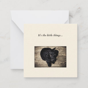 Correspondance Carte de note Black Dog Mini Thank You