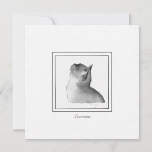 Correspondance Carte de note de chat birman noir et blanc