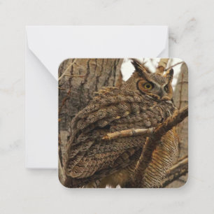 Correspondance Carte de note de hibou