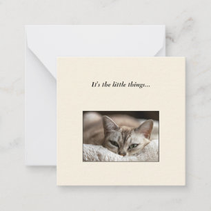 Correspondance Carte de note de mini-remerciement de chats mignon