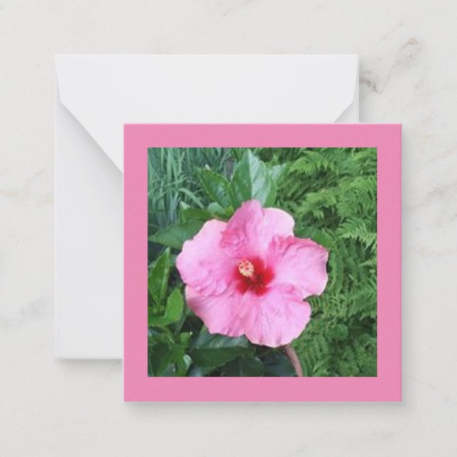 Correspondance Carte de note Hibiscus rose (Devant)