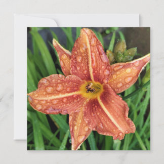 Correspondance Carte de voeux Orange Day Lily