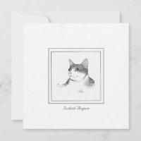 Photo de chat Angora turque sur une carte à note p