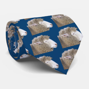 Corriedale sheep tie
