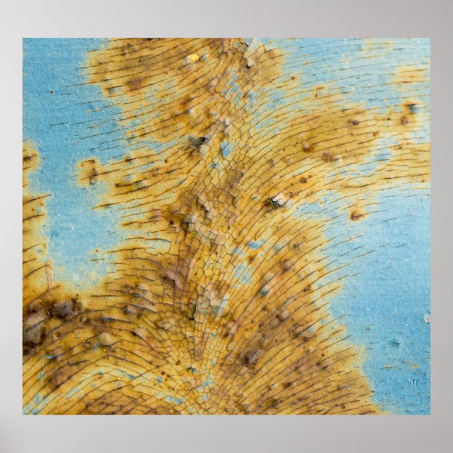 Corroded White Metal: Rust Streaks Texture Poster (Front)