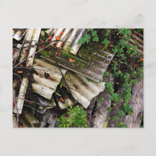Corrugation Postcard