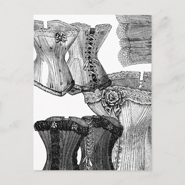 Corsets and More Corsets Postcard (Front)