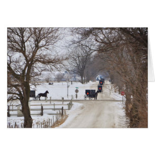 Cortège amish d'hiver