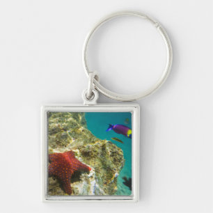 Cortez Rainbow Wrasse male and female and sea Keychain